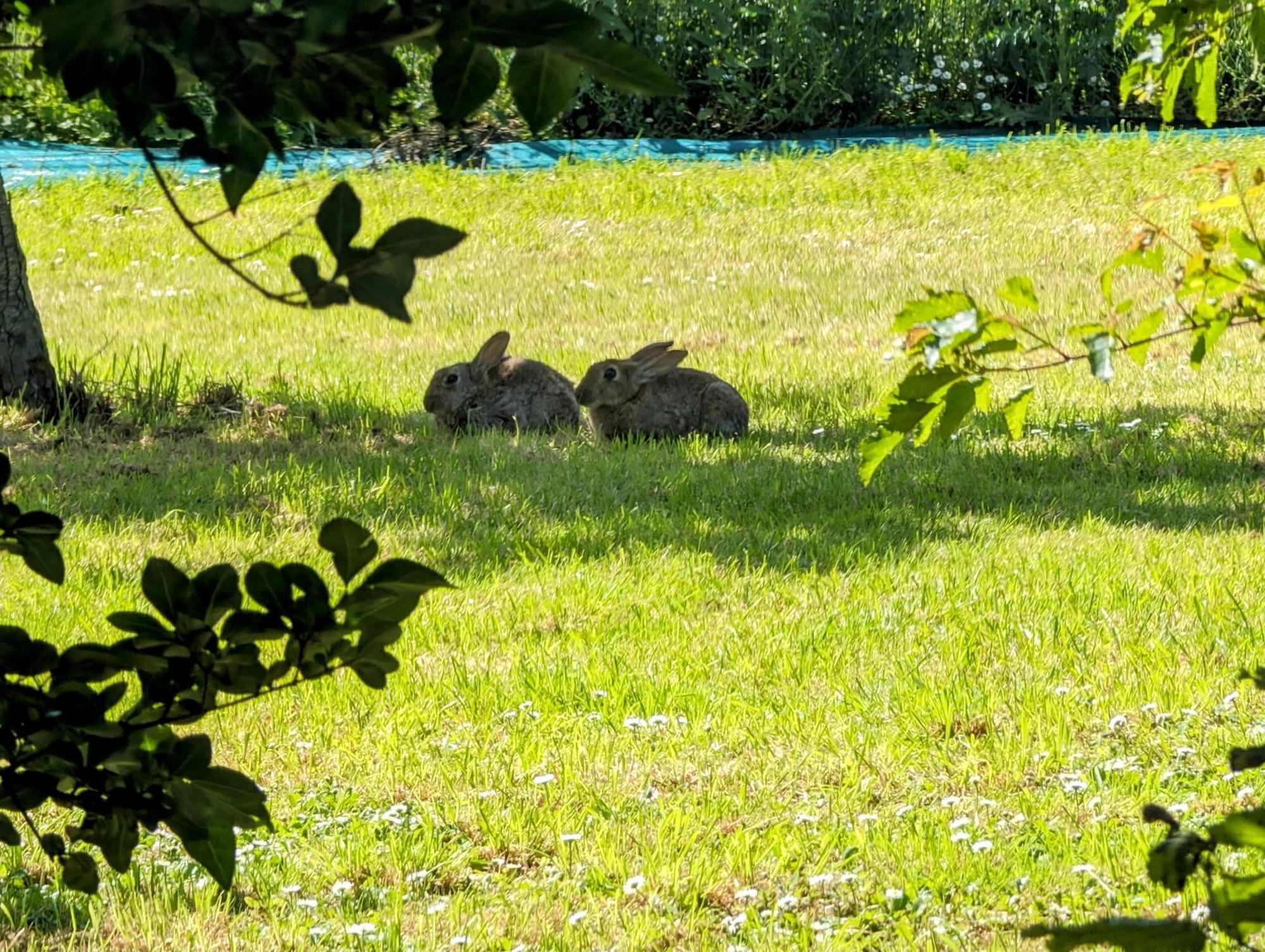 Le Relais Du Beffroi & Spa Saint-Riquier Dış mekan fotoğraf